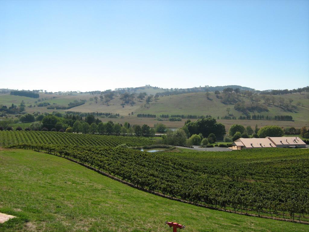 Turners Vineyard Motel Orange Pokoj fotografie