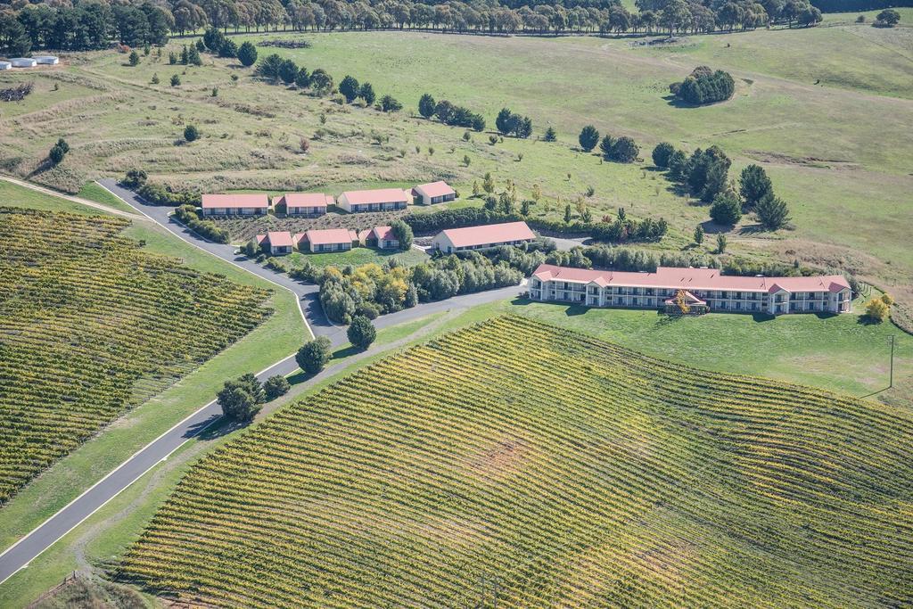 Turners Vineyard Motel Orange Exteriér fotografie