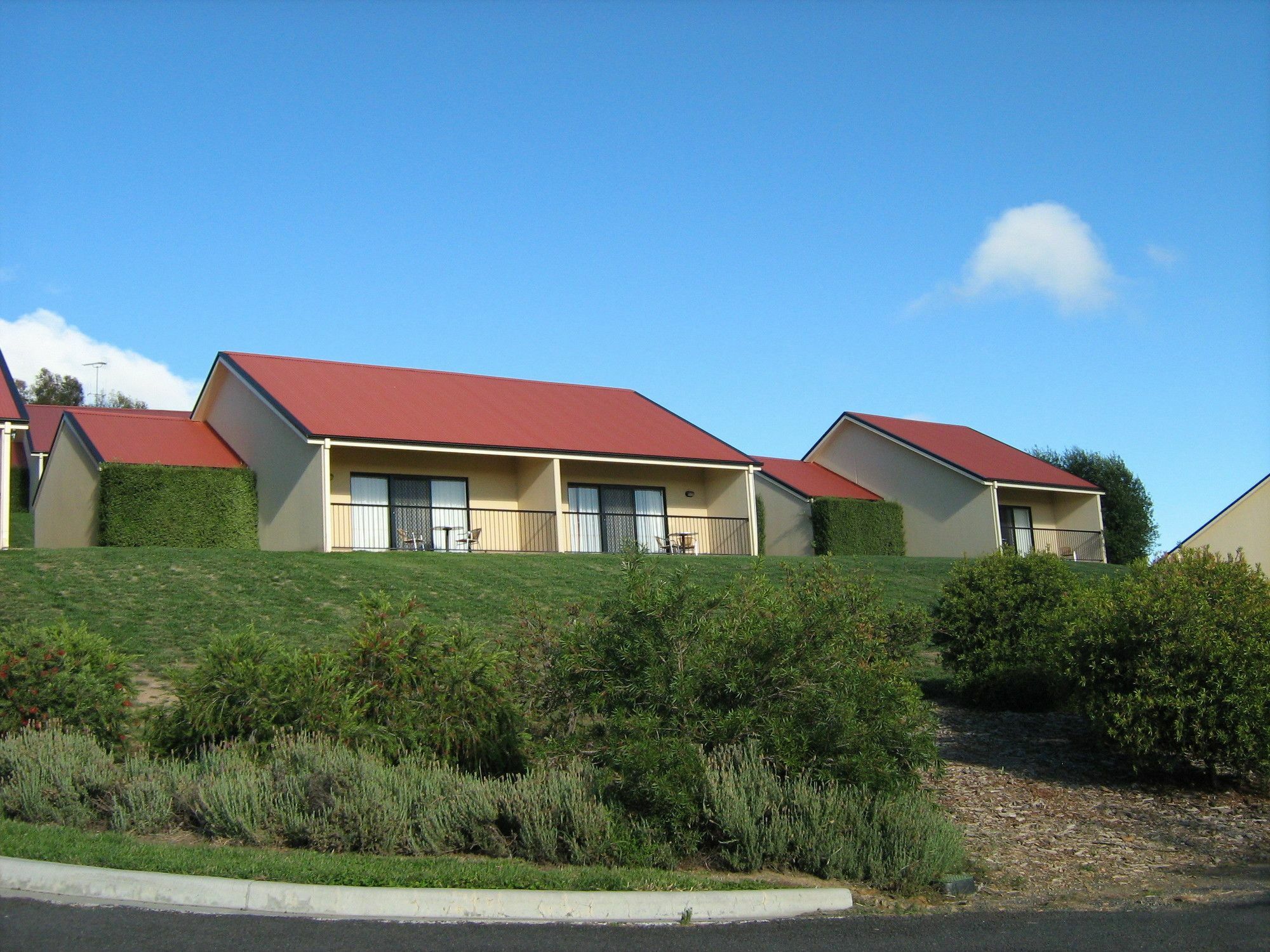 Turners Vineyard Motel Orange Exteriér fotografie