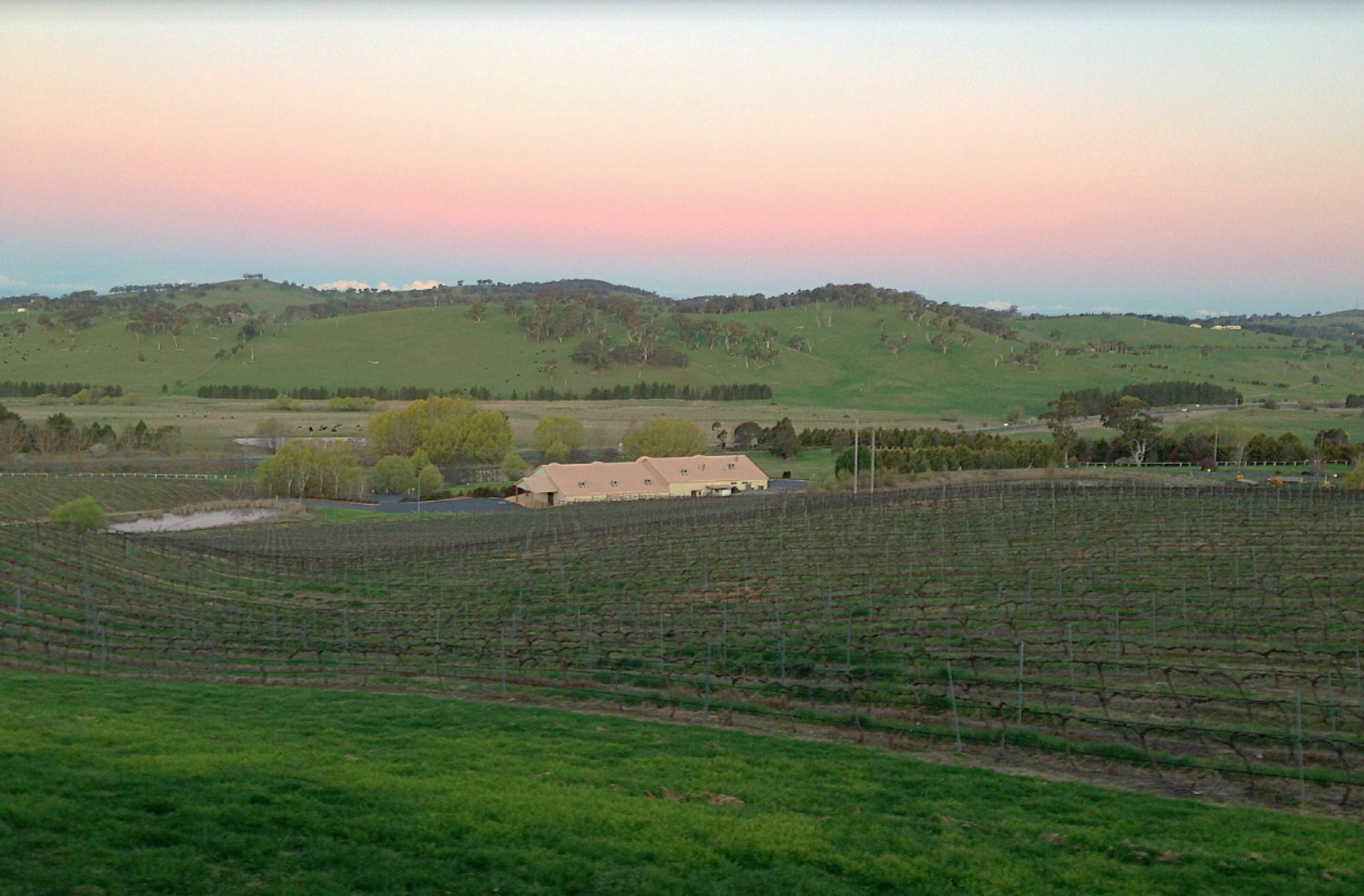 Turners Vineyard Motel Orange Exteriér fotografie
